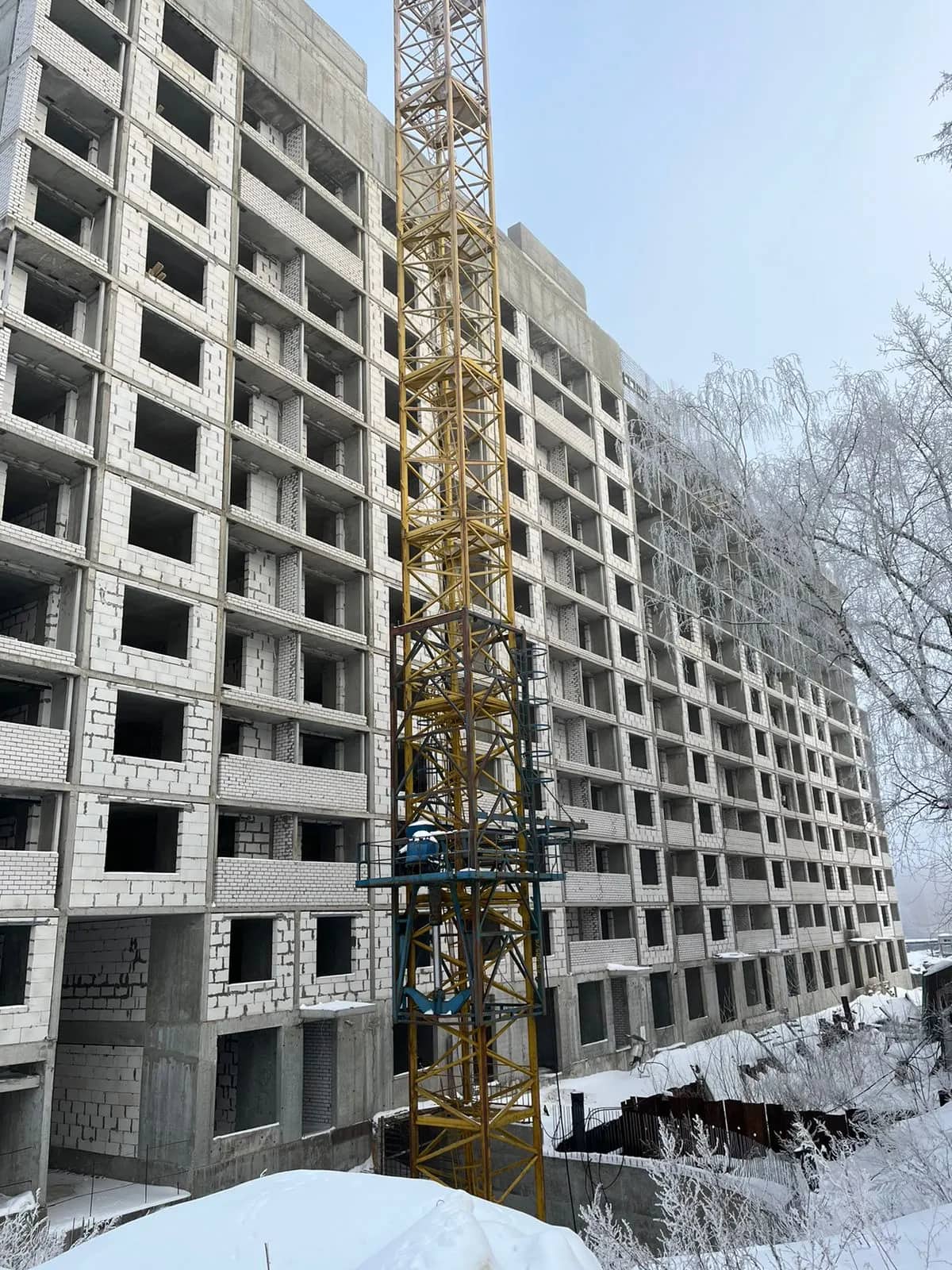 Январь 2024